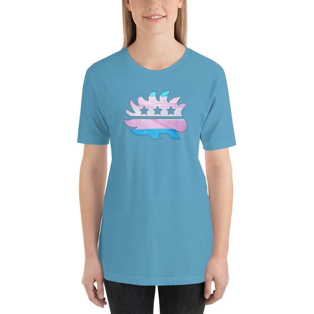 LGBTQ+ Porcupine Short-Sleeve Unisex T-Shirt