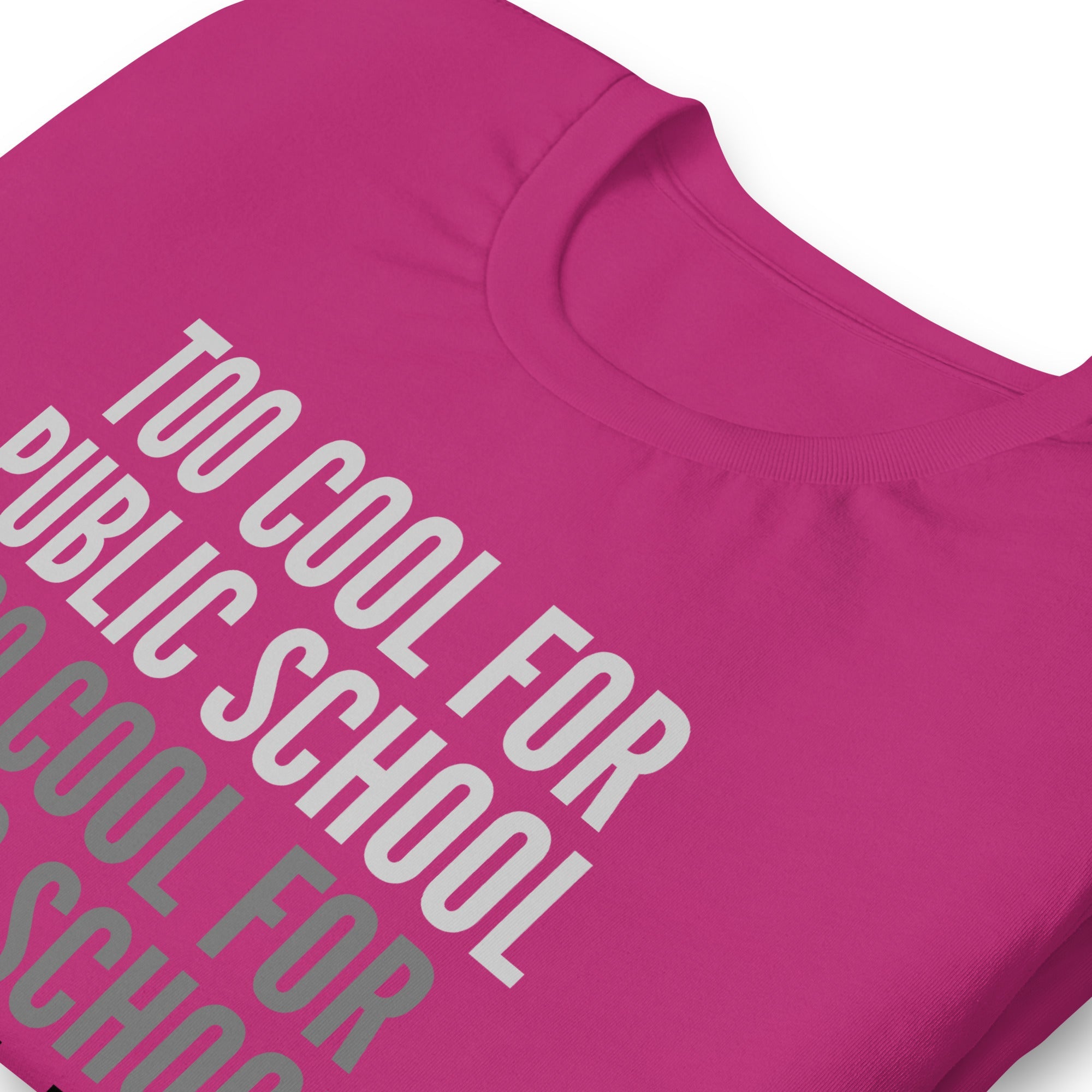 Too Cool For Public School Unisex t-shirt