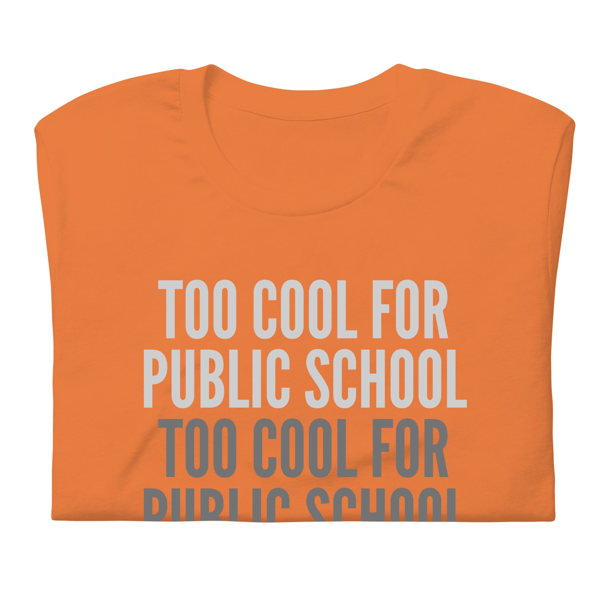 Too Cool For Public School Unisex t-shirt