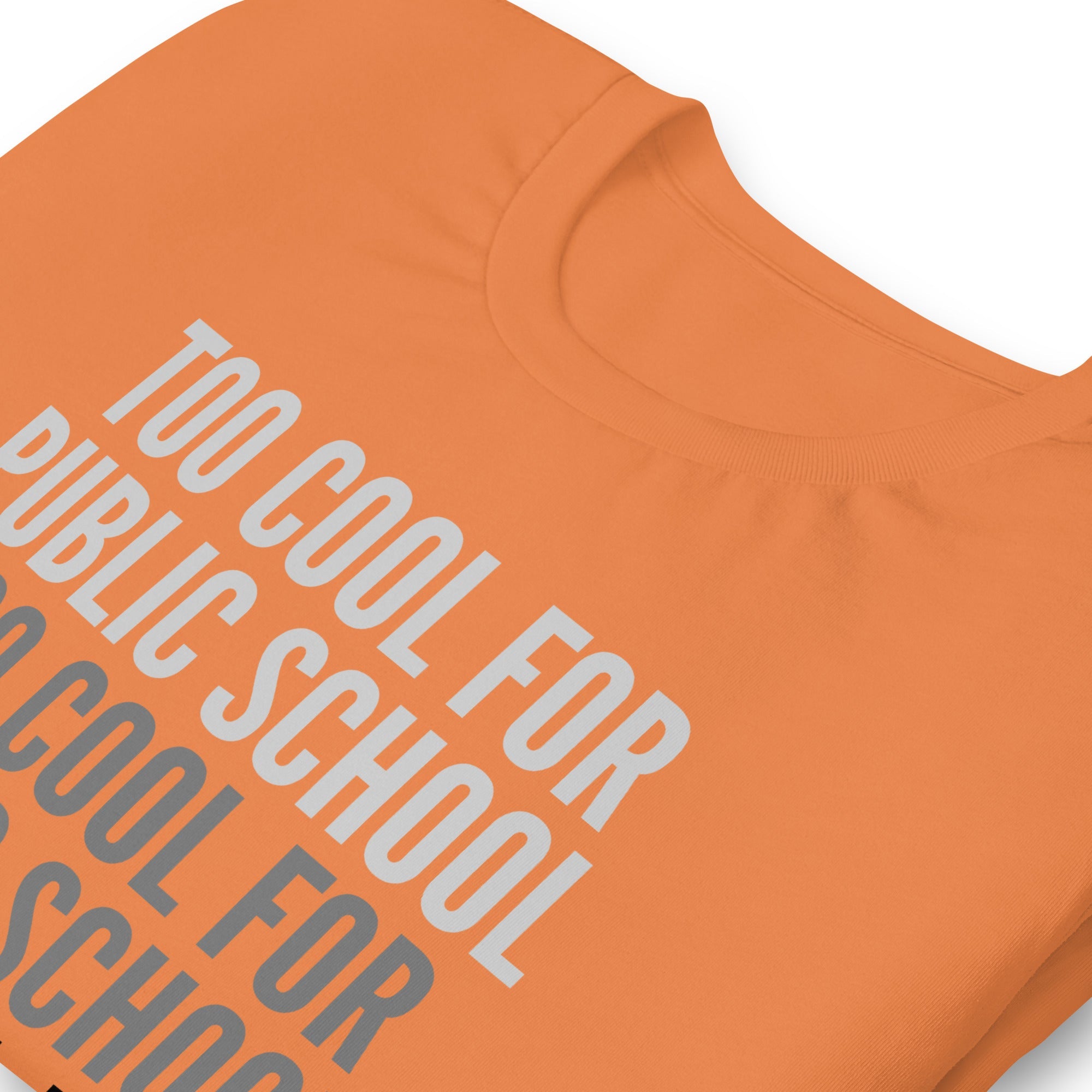 Too Cool For Public School Unisex t-shirt