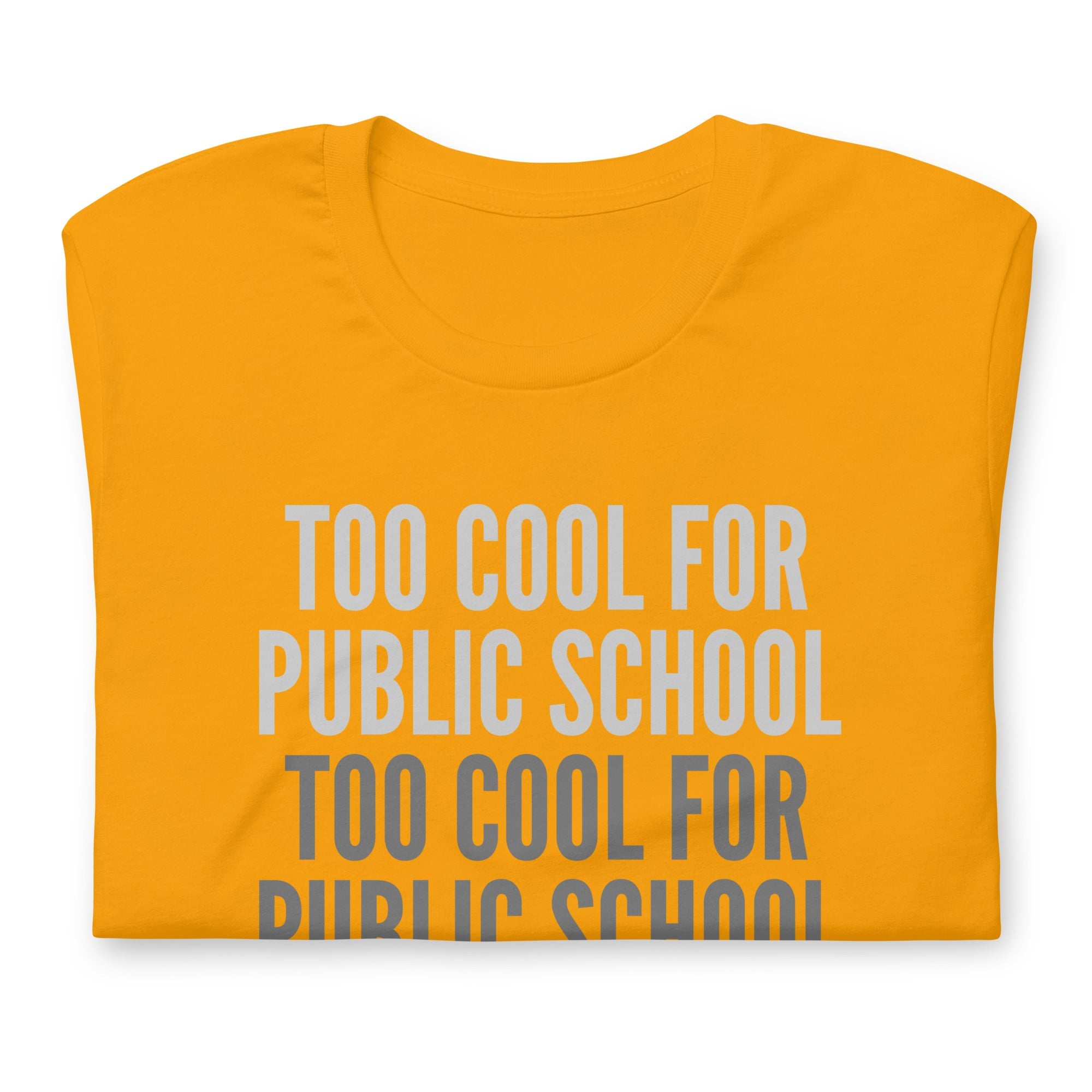 Too Cool For Public School Unisex t-shirt