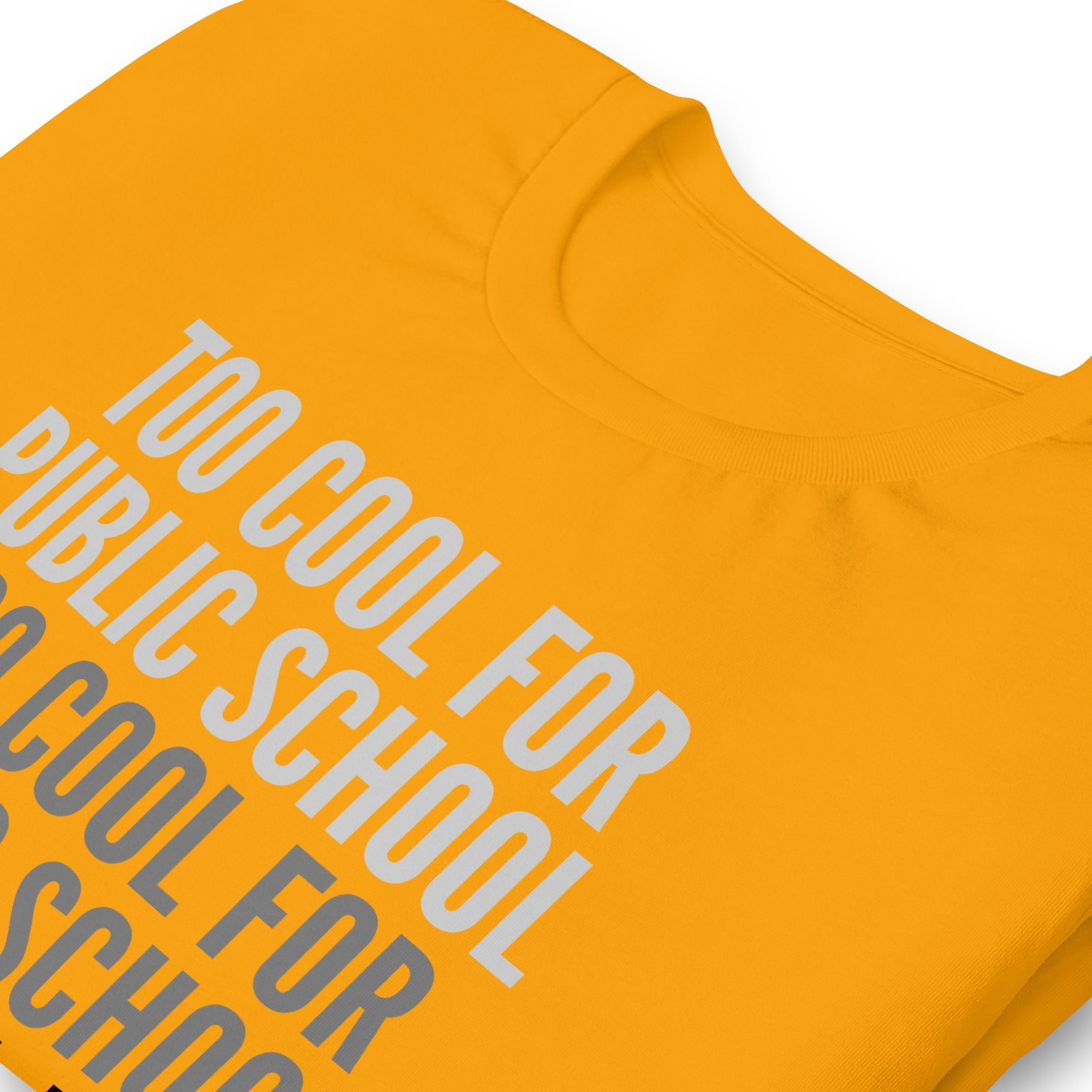 Too Cool For Public School Unisex t-shirt