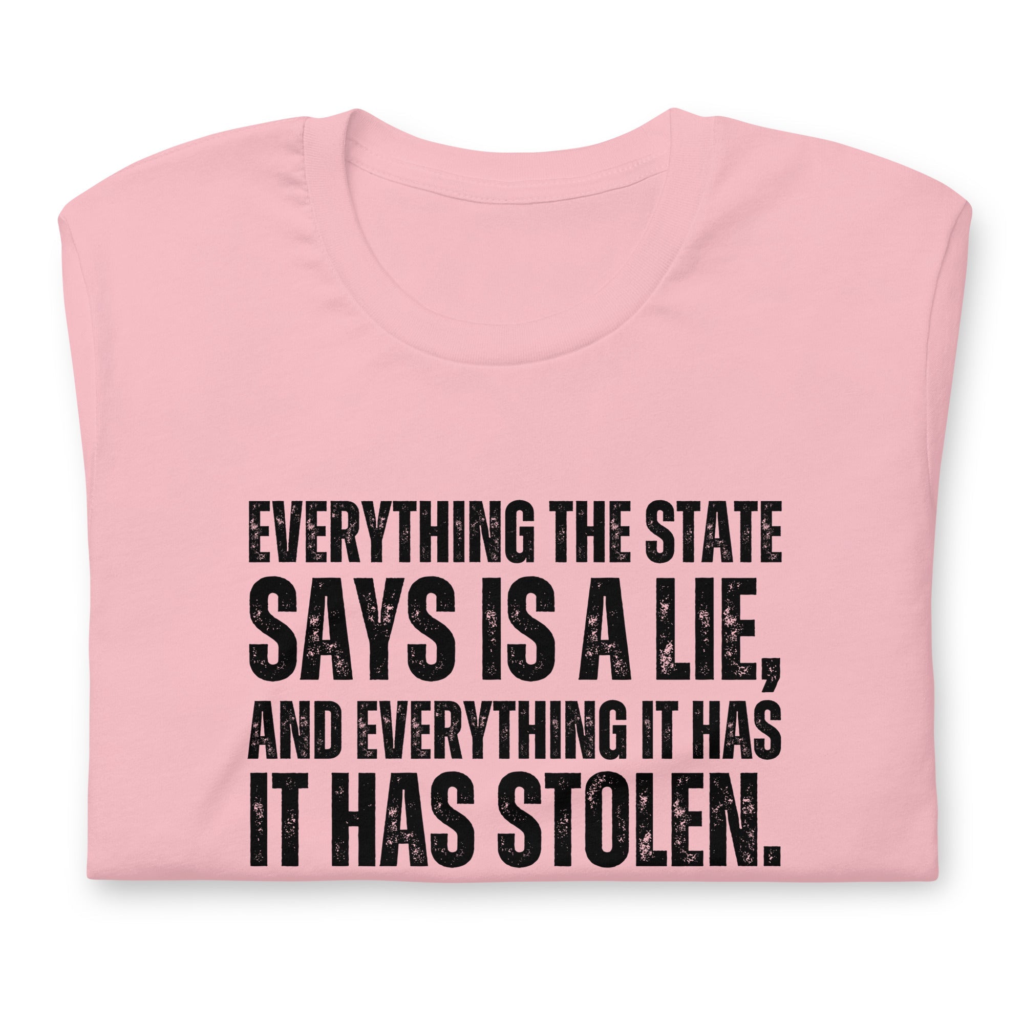 Everything the State says is a Lie, and Everything it has it has Stolen Unisex t-shirt