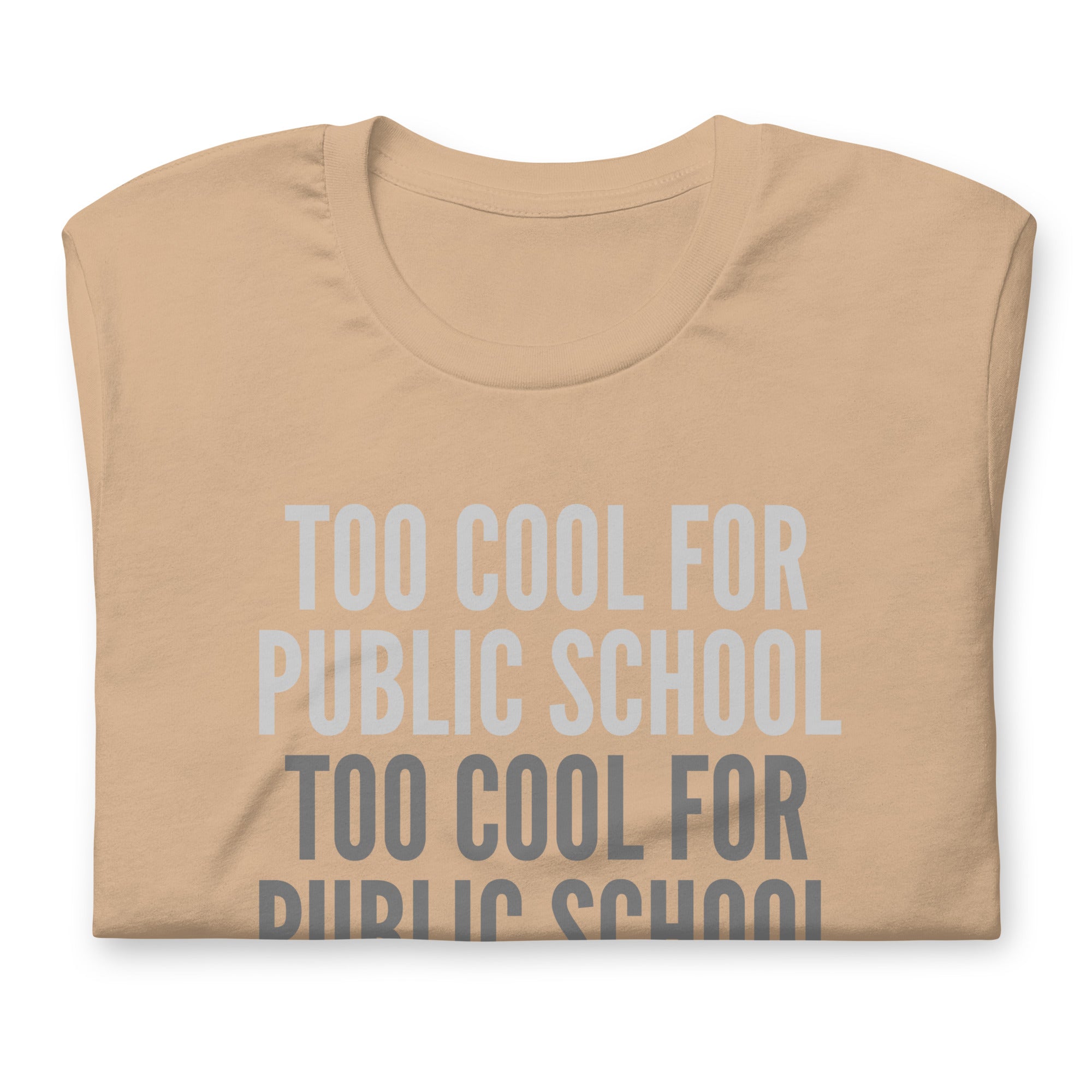 Too Cool For Public School Unisex t-shirt