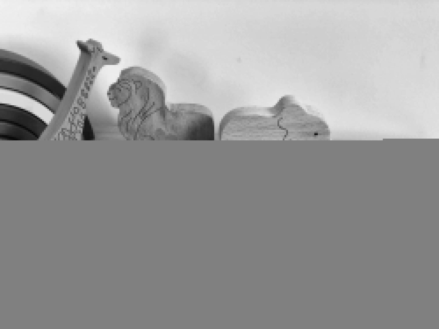 Wooden Safari Animals Set